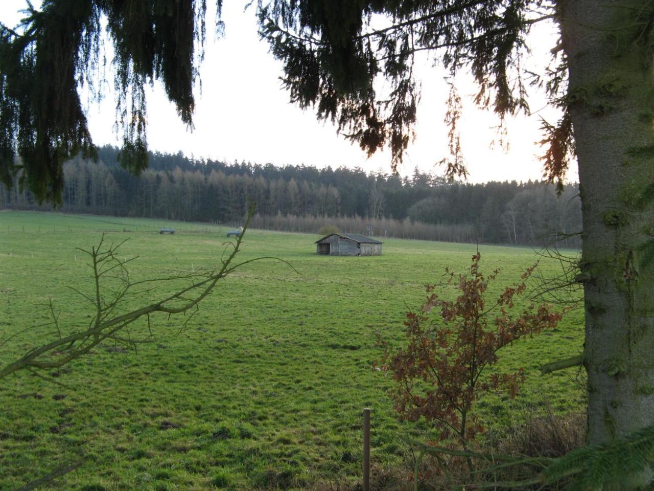 Ferienwohnung Prior Bad Emstal Esterno foto