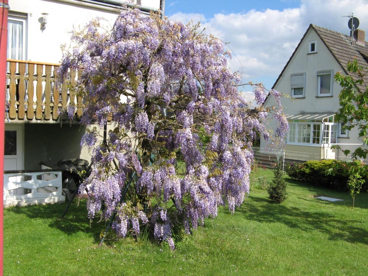Ferienwohnung Prior Bad Emstal Esterno foto